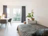 Studio Groningen Oostersingel 23m2