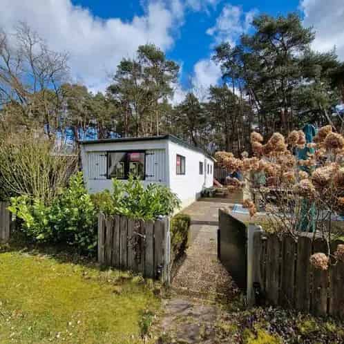 Houten Chalet Lutterzand Bosrand Familie Camping
