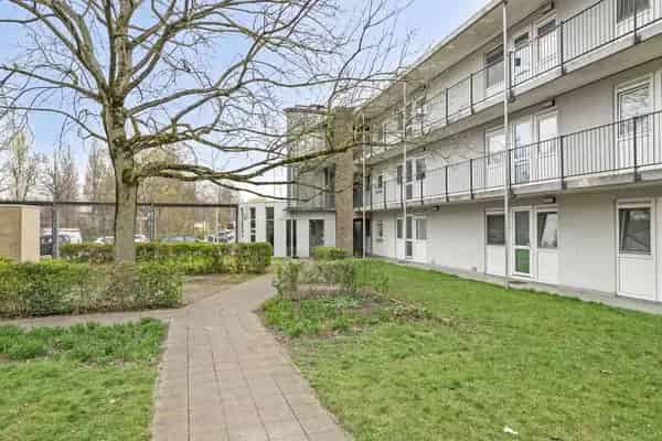 Ruim 4-kamer appartement Overschie - Gemeenschappelijke tuin - Zelfbewoningsplicht