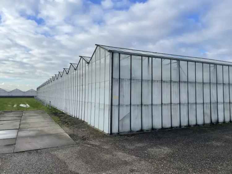 Glastuinbouwbedrijf te huur nabij Aalsmeer