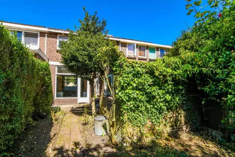 Tussenwoning Schiebroek: Zonnige Tuin Modernisering Nodig