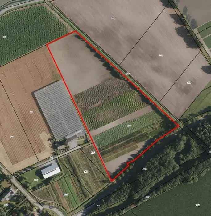 Agrarische Grond Beringe 305 ha Te Koop Goede Zandgrond