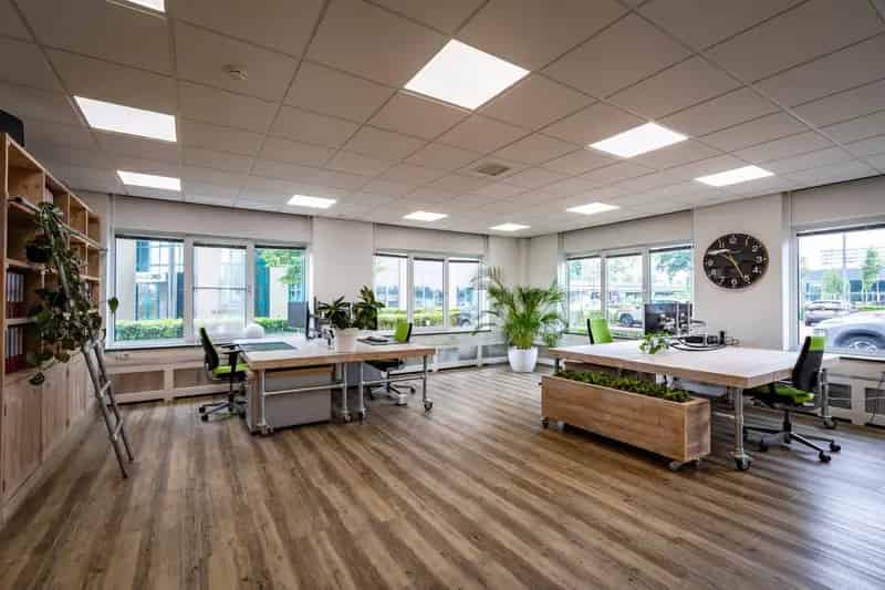 Kantoorruimte te huur Schiedam 804 m²  Schiehove