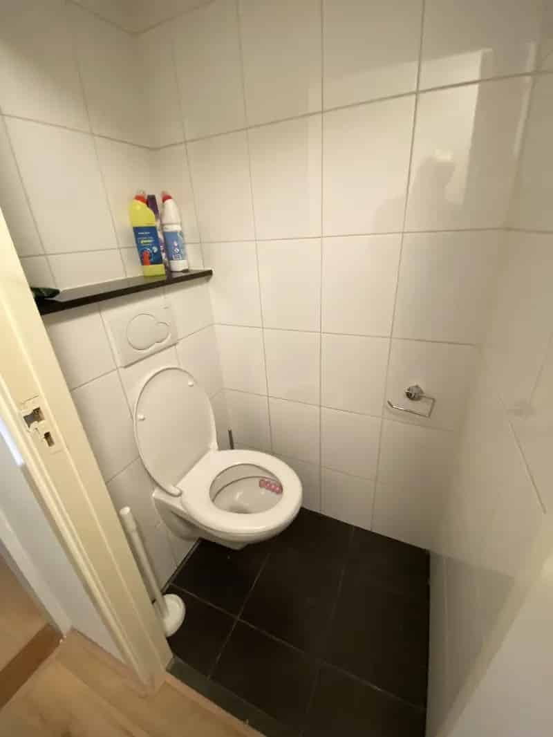 Nobel appartement Haarlem: Ruim en Licht Appartement