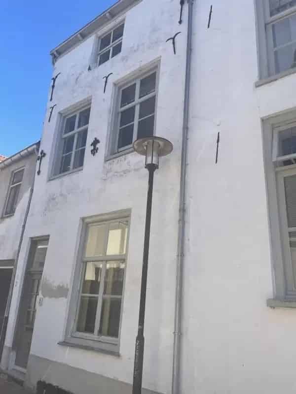 Tiel Centrum: Gemeubileerd 2-kamerappartement met Dakterras