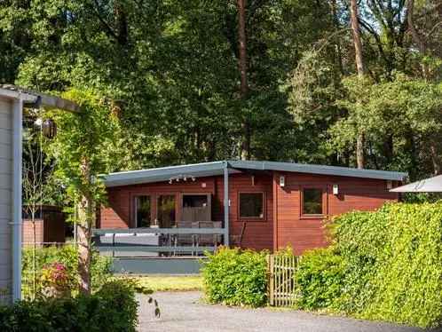 Huisje Aan de Maashorst Vakantiechalet Noord Brabant