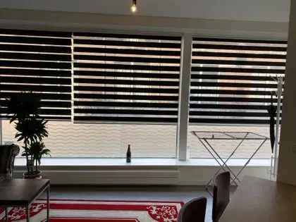 47m² Studio Leiden: Gemeubileerd, nabij Station en Universiteit