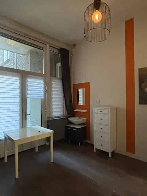 Gestoffeerde Studio Den Bosch 19m2 Gedeelde Keuken Badkamer