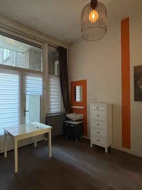 Gestoffeerde Studio Den Bosch 19m2 Gedeelde Keuken Badkamer