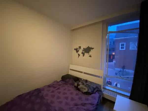 Kamer Arnhem Centrum - Gedeeld Dakterras - Studenten