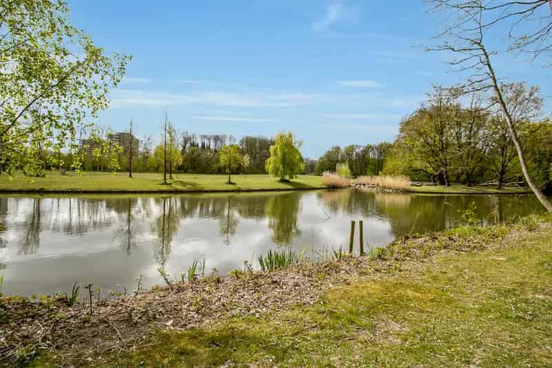 Appartement Te Koop , 49, Burgemeester Hazenberglaan, Rotterdam, Zuid-Holland