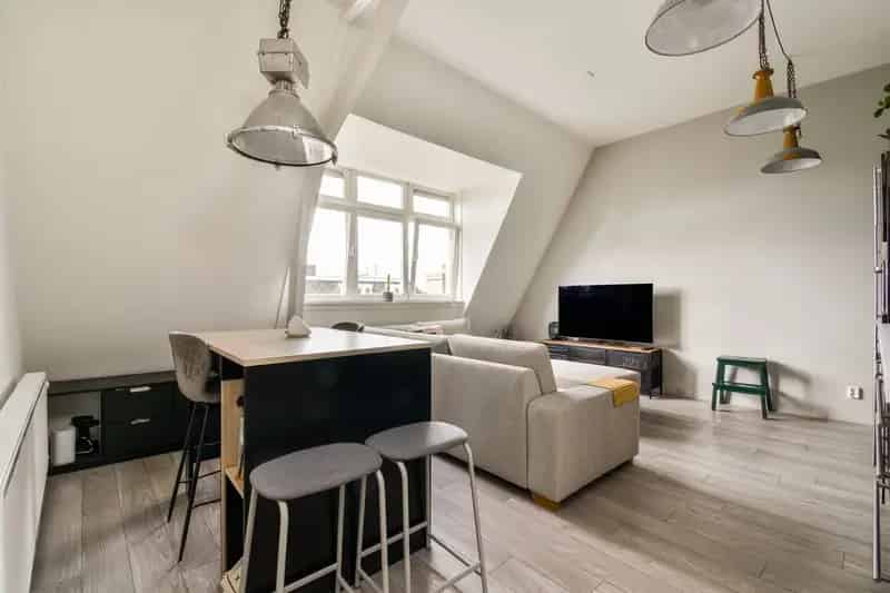 Loftappartement Amsterdam Oost 48m2 Dakterras 24m2