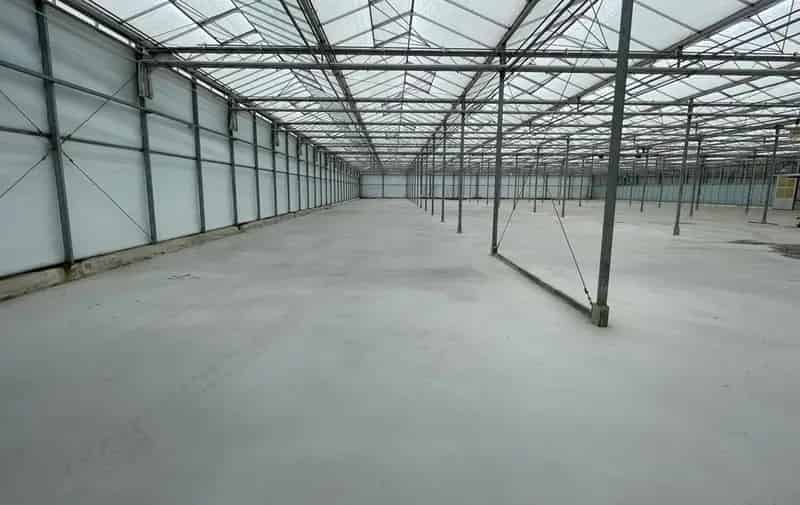 Bedrijfshal 23000 m2 te huur Aalsmeer Opslag Productie