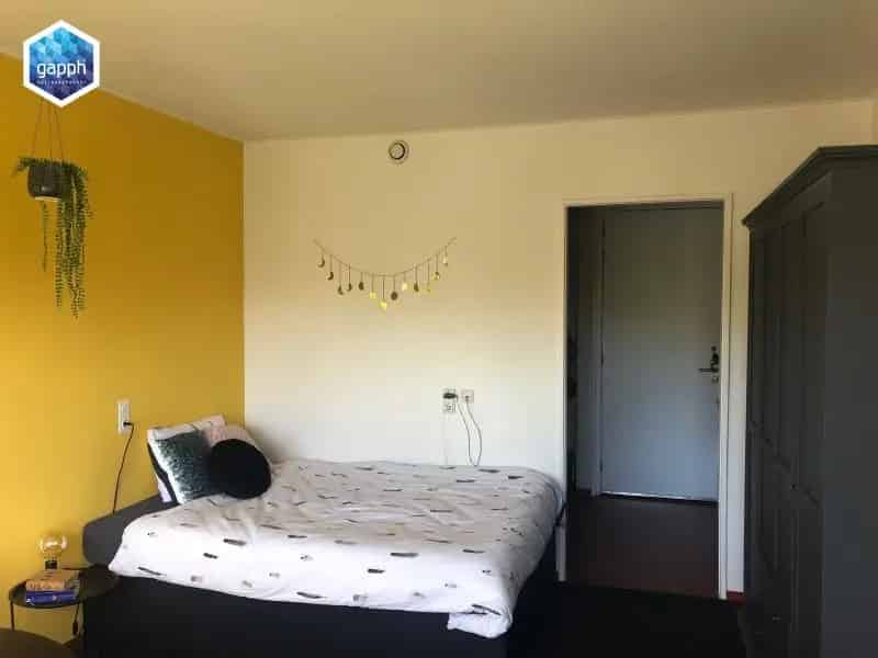 Studio Middelburg