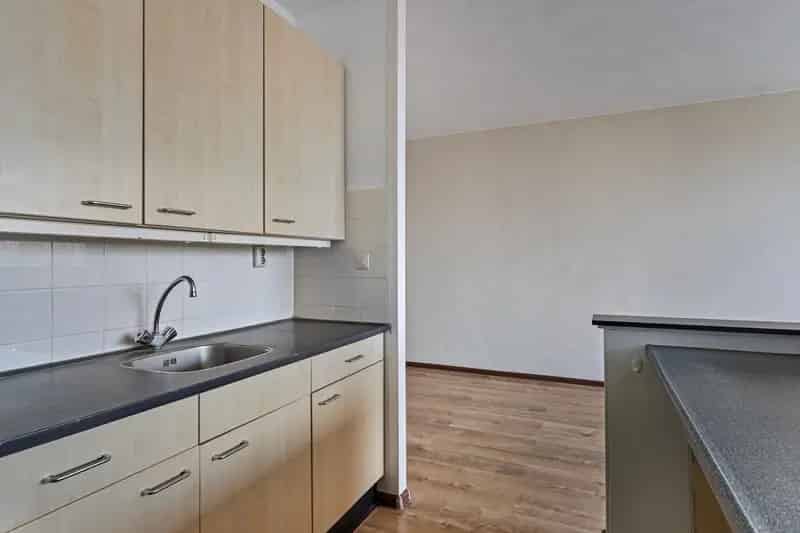 Ruim 2-kamerappartement nabij NS station Den Bosch