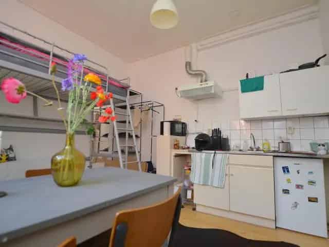 Kamer Groningen Ooster Badstraat Eigen Keuken Gedeelde Tuin