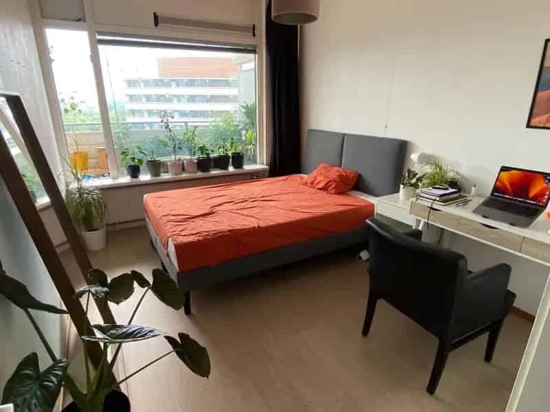 Hondenliefhebber gezocht: Gezellige kamer Amsterdam Noord