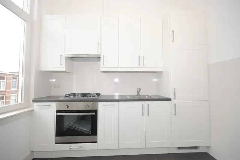 Gerenoveerd 2-kamer appartement Den Haag