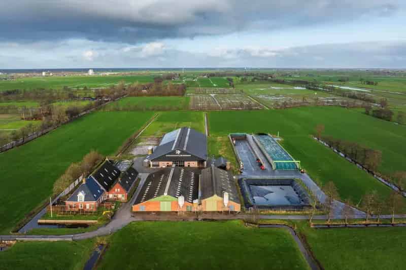 Melkveebedrijf Doezum - 53,78 hectare - Moderne Stal - 126 GVE
