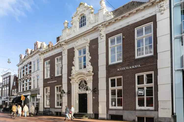 Luxe Appartement Haarlem Centrum 285m2 Rijksmonument