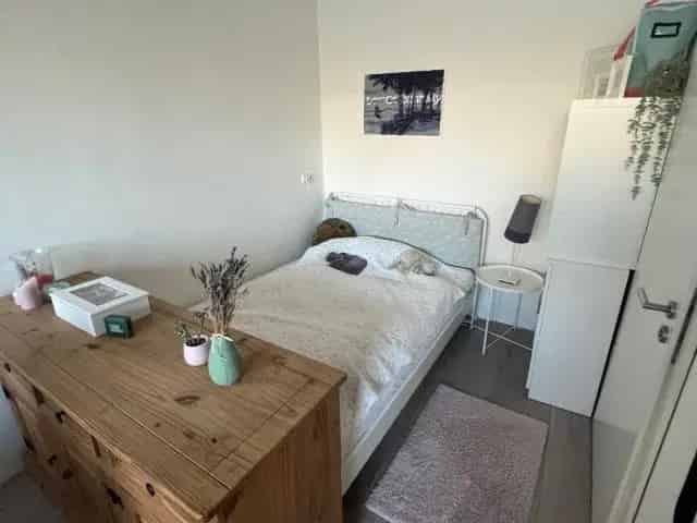 Studio Enschede Het Bijvank te huur