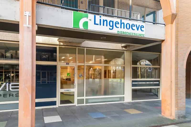 Winkel te huur Tiel 43m² Winkelcentrum Passewaay