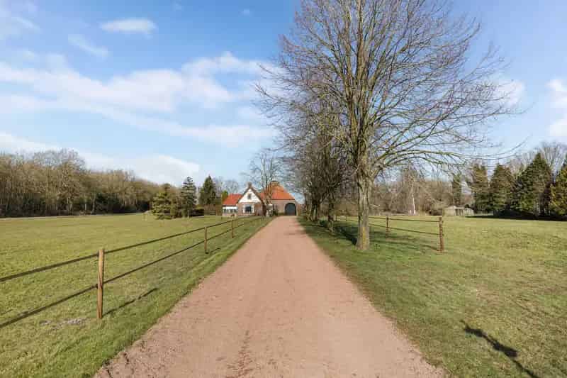 Ruime Woonboerderij nabij Hoornsterzwaag met Zwembad