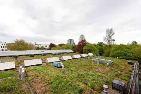 3 kamers appartement van 84 m² in Rotterdam