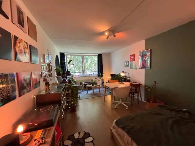 Ruime kamer De Esch 24 juni - 26 augustus