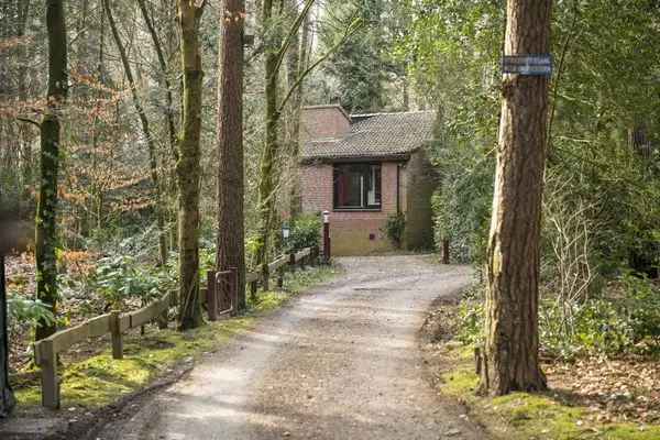 Vrijstaand huis 4 kamers grote tuin Wolfheze