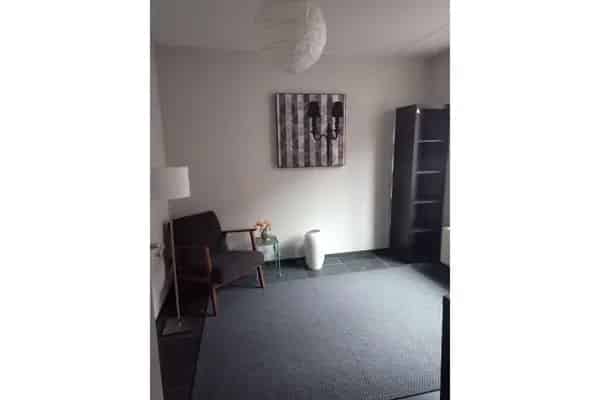 Te Huur: Huis Grasmier 3 Slaapkamers Meerhoven Eindhoven