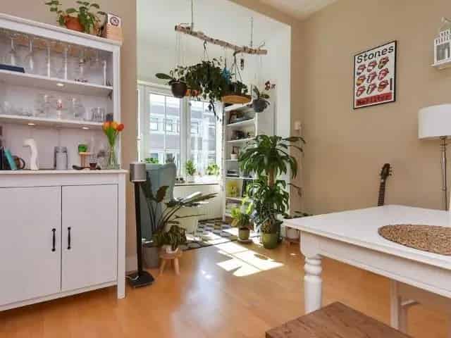 Te Huur: 5-Kamer Appartement Den Haag Bloemenbuurt