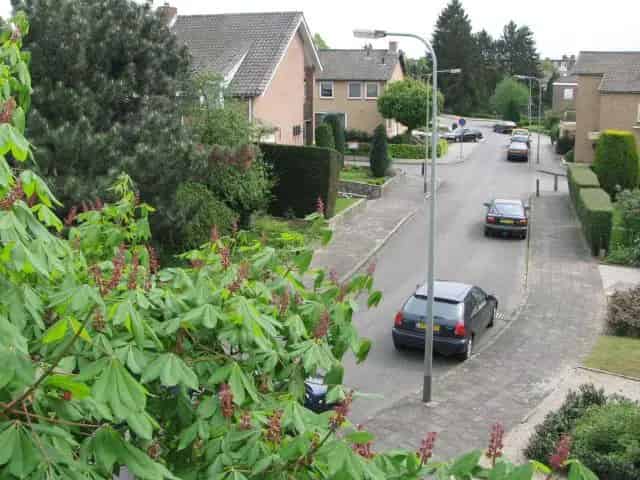 Ruime Vrijstaande Woning te Huur in Scharn Maastricht