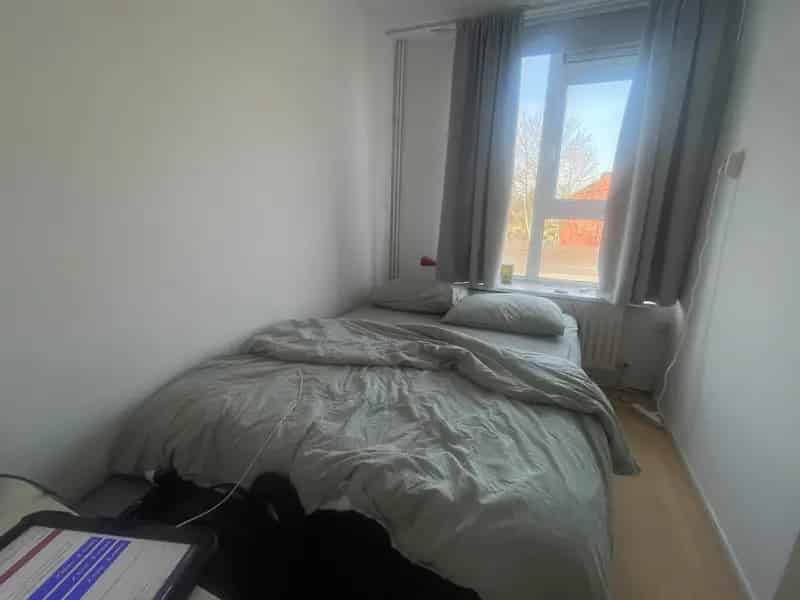 Te Huur: Dubbele Kamer in Paddepoel Groningen Nabij Zernike Campus