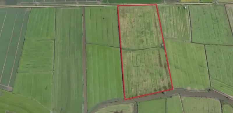 Agrarische grond te koop Molenweg Strijen