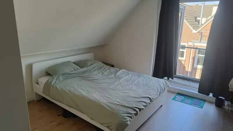 Kamer Rotterdam Nieuwe Westen 3-4 maanden April-Augustus