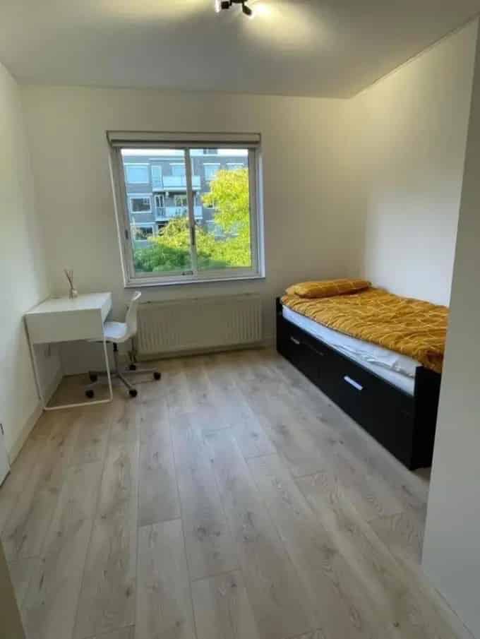 Kamer te huur juli augustus student