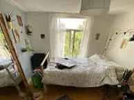 Kamer Arnhem 12m2 Gedeelde Badkamer Keuken Dakterras