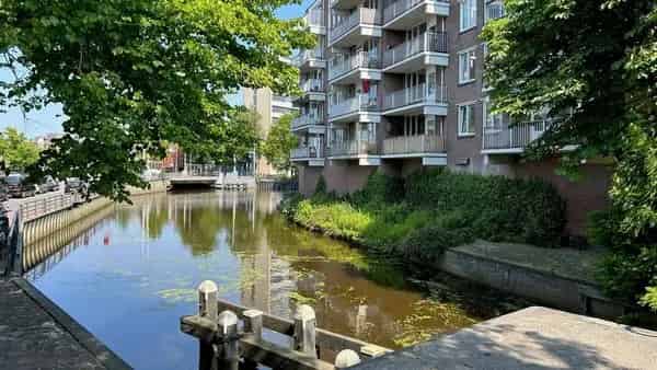 3 Kamerappartement Groningen Nabij Station Westerhaven