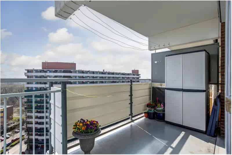 Amsterdam Noord Kamer te Huur - Hondenliefhebber Gewenst