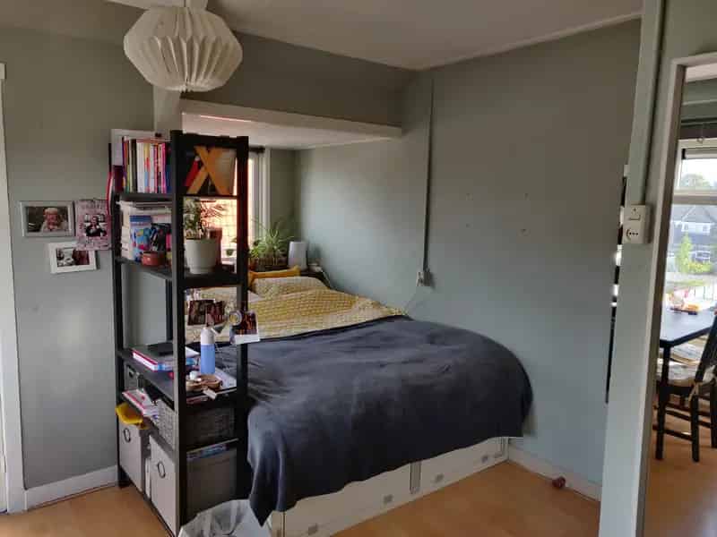 Kamer Leiden: 16m2 voor werkende student/young professional