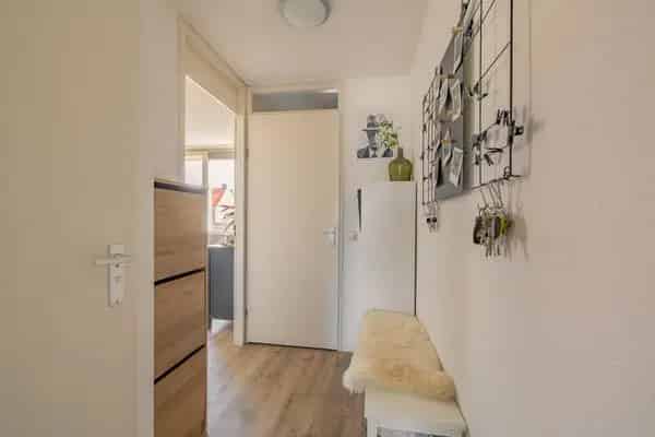 Modern appartement Middelburg: Dakterras Vide Keuken