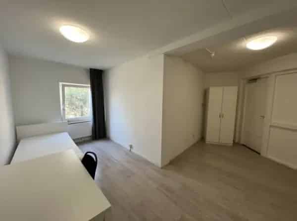 Ruime Kamer Maastricht Centrum Nabij Universiteit