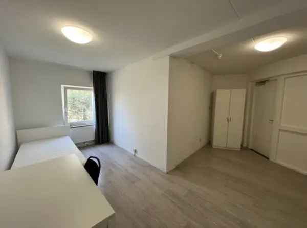 Ruime Kamer Maastricht Centrum Nabij Universiteit