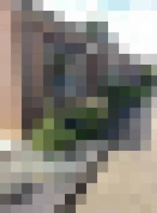 Appartement in Terborg met 3 kamers