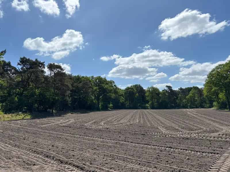 Agrarische Grond Heeze 0878 ha Bos Bestemming