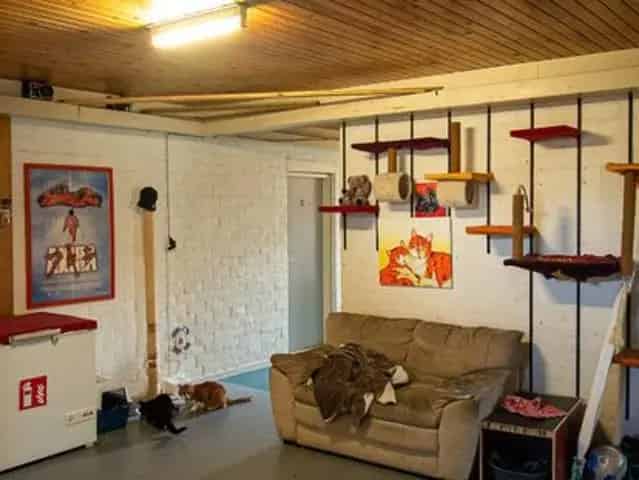 11 Kamer Huis te Huur voor Asociaal Persoon
