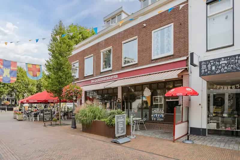 Horecaruimte te koop Coevorden: De Ganzenhoedster
