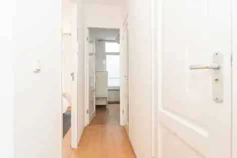 3 Kamer Appartement 49m2 Amsterdam De Pijp Gemeubileerd Dakterras