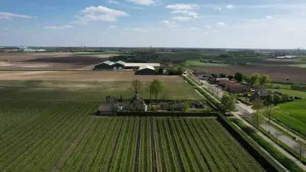 Luxe Villa West Brabant Ruim Bijgebouw Zwembad Wellness